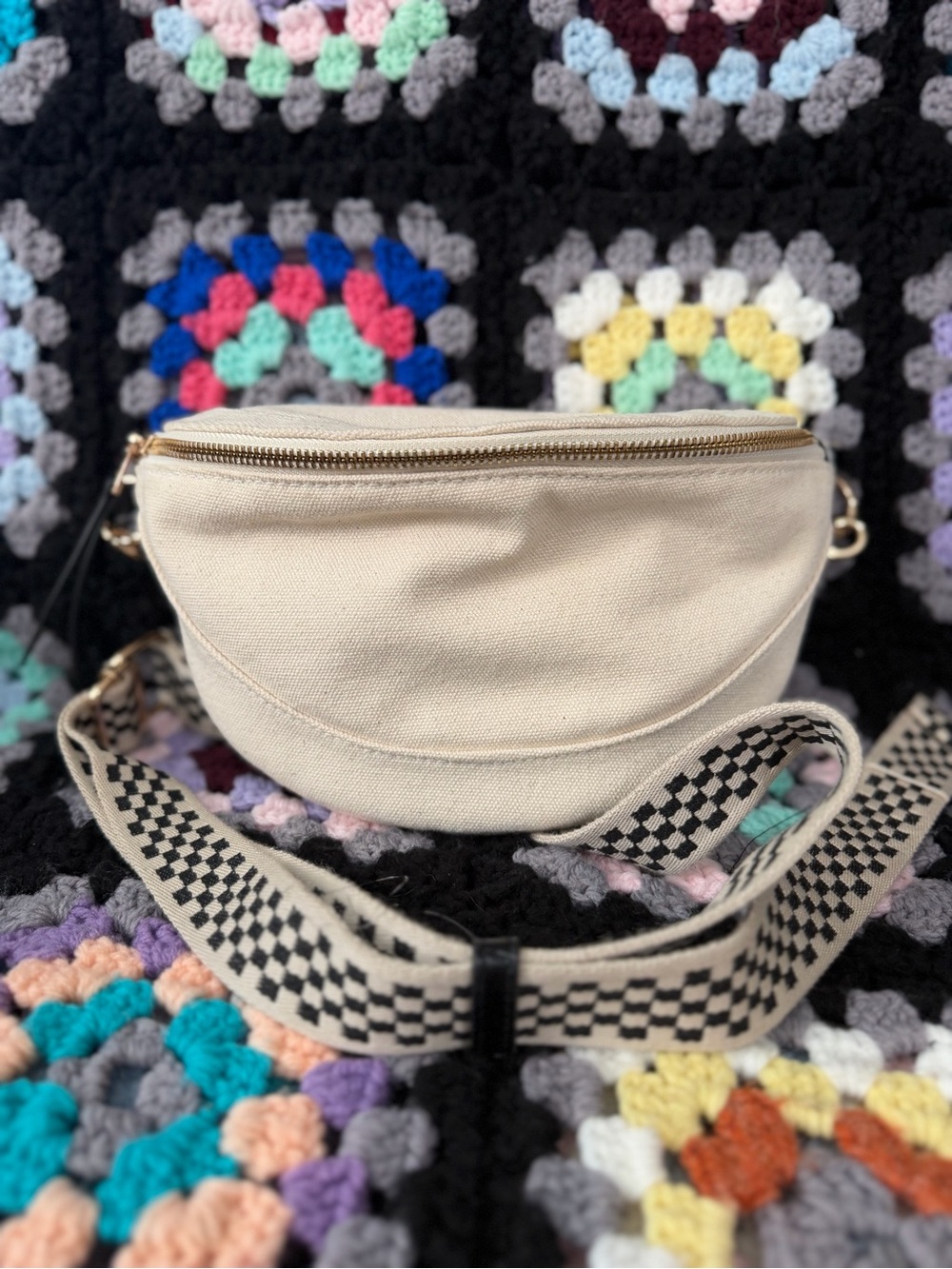 Canvas Crossbody Belt Bag in Natural with Check Strap